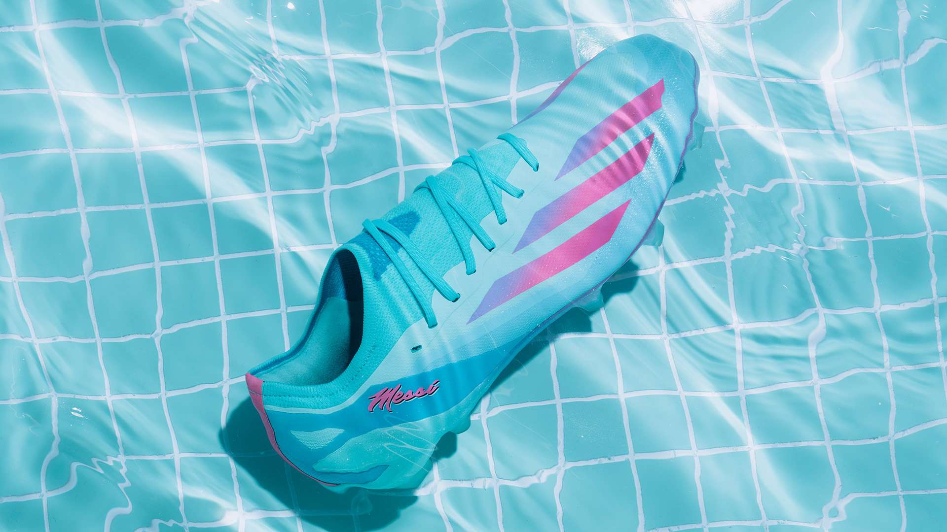 以期在未来 以期在未来